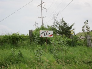 Barnett rock