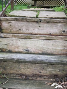 Wooden steps I like steps