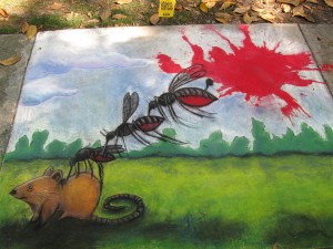 mosquito
