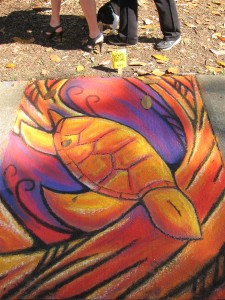 turtle