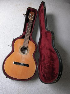 Guitar